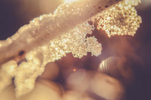 Ice crystals, close-up Ice crystals, close-up
